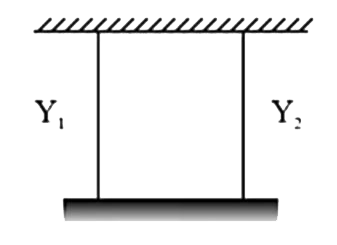 Figure for this question